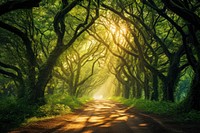 Green leafed tree landscape sunlight outdoors. 