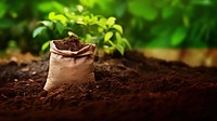 photo of soil bag laying on the ground.  