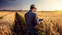 photograph of a man farmer with tablet working in wheat field.  