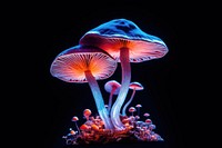 A magical colorful light shine mushroom fungus agaric plant. AI generated Image by rawpixel.