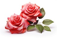 Roses flower plant white background. AI generated Image by rawpixel.