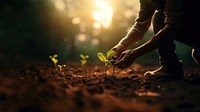 Photo of farmer start to plant seed for vegetable. AI generated Image by rawpixel. 