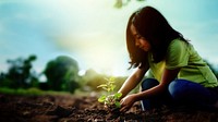 Photorealistic of diverse teenager planting a garden.  