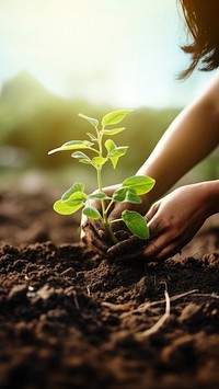 Photorealistic of diverse teenager planting a garden.  