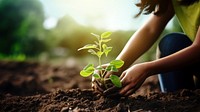 Photorealistic of diverse teenager planting a garden.  