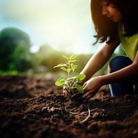 Photorealistic of diverse teenager planting a garden.  