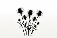 Thistle silhouette thistle drawing flower. AI generated Image by rawpixel.