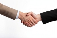 A business handshake white background agreement greeting. 