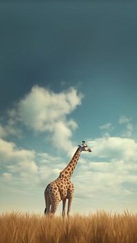 Giraffe field grassland wildlife. AI generated Image by rawpixel.