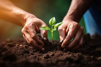 Plant gardening soil agriculture. AI generated Image by rawpixel.