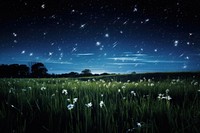 Shooting stars field landscape grassland. AI generated Image by rawpixel.