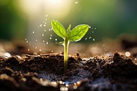 Plant outdoors nature sprout. AI generated Image by rawpixel.