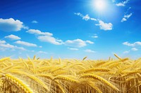 Ukrainian flag field wheat sky. AI generated Image by rawpixel.
