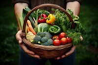 Hands holding basket produce food hand. 