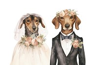 Dogs married wedding animal portrait. 