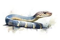 Elongated snake reptile animal poisonous. AI generated Image by rawpixel.