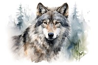 Wolf mammal animal coyote. AI generated Image by rawpixel.
