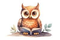 Owl read a book animal cartoon drawing. 