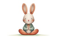 Rabbit yoga cartoon mammal cute. 