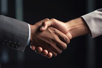 Businessman handshake agreement greeting success. 