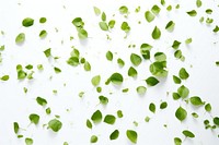 Green leaves falling backgrounds plant herbs. AI generated Image by rawpixel.