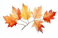 Autumn leaves maple plant. AI generated Image by rawpixel.