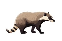 Badger wildlife drawing animal. 