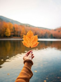 1 Autumn leaf autumn lake hand. 