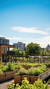 Image of a community garden in an urban setting, showcasing raised beds and composting units, emphasizing local food production.  