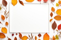 Autumn frame backgrounds autumn leaves.