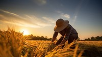 Photo of farmer in golden hour.  