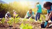 Photo of young people volunteers outdoors planting. 