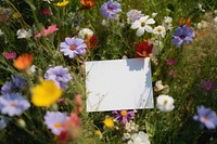 Flowers invitation card field outdoors. 