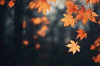Autumn background backgrounds plant leaf. AI generated Image by rawpixel.
