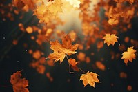 Autumn background  leaves yellow. 