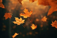 Autumn background backgrounds leaves forest. AI generated Image by rawpixel.