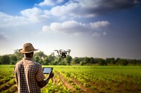 Farm agriculture outdoors nature. 