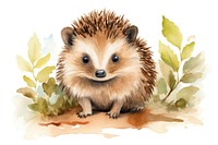 Hedgehogs hedgehog animal mammal. 