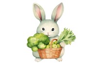 Cute rabbit holding vegetable busket cartoon basket mammal. 