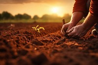 A hand checking soil quality before planting gardening outdoors nature. AI generated Image by rawpixel.