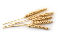 Wheat ears field food white background. AI generated Image by rawpixel.
