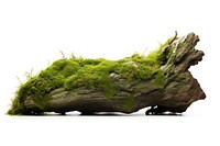 Green moss plant tree. AI generated Image by rawpixel.