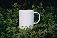 White mug coffee cup tableware. 