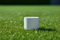 White mug cup grass plant. 