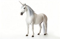 White smart unicorn stallion animal mammal. AI generated Image by rawpixel.