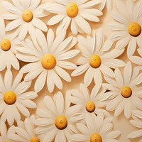 Wallpaper pattern daisy flower petal. 