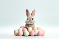Easter bunny animal mammal cute. AI generated Image by rawpixel.