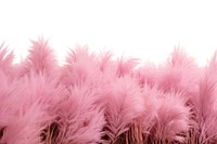 Backgrounds plant pink celebration. AI generated Image by rawpixel.