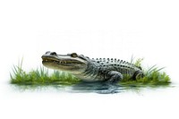 Crocodile reptile animal day. AI generated Image by rawpixel.