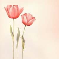 Tulip flowers illustration petal plant red. AI generated Image by rawpixel.